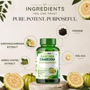 nutrafirst-garcinia-cambogia-tablets-800-61zHuNjOU6L.jpg