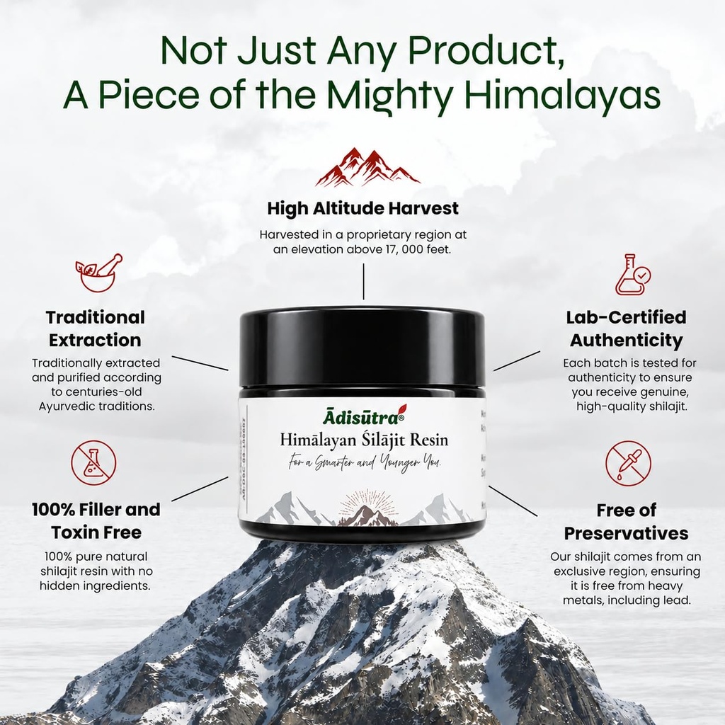 himalayan-shilajit-resin-10gm-76-7-fulvi-71QzXZM6y8L.jpg