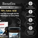 pure-himalayan-shilajit-resin-natural-en-81SjoGMFwPL.jpg
