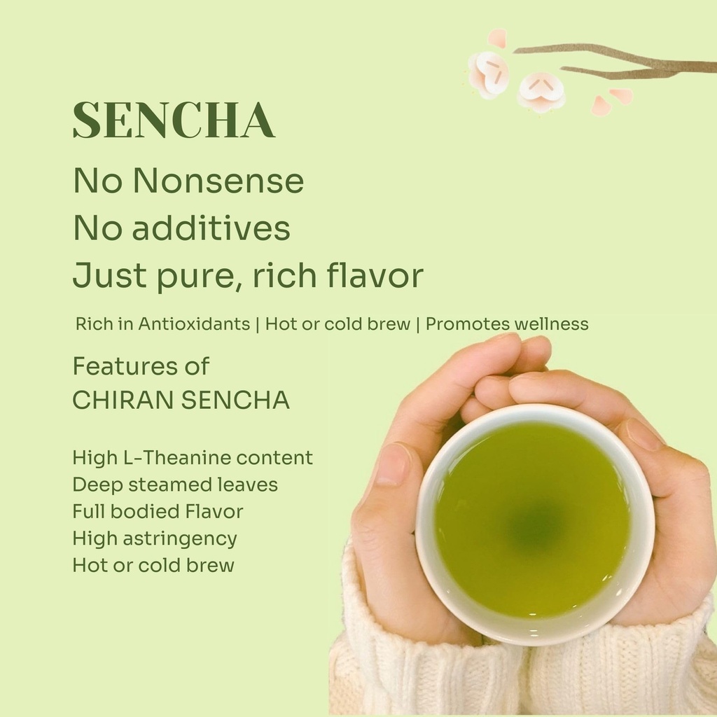 chiran-original-japanese-sencha-green-te-71lz93WbIxL.jpg