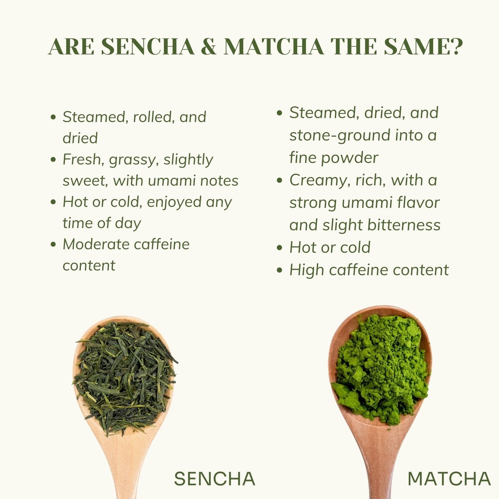 chiran-original-japanese-sencha-green-te-71UCJEOe02L.jpg