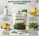 100-natural-moringa-powder-vegan-superfo-619Nt1f+rzL.jpg