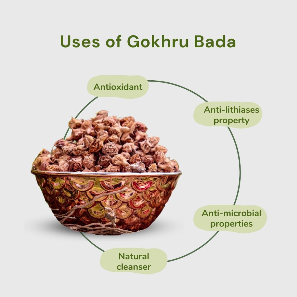 dayakishan-gokhru-bada-250g-sabut-gokhru-6100LkcbPHL.jpg