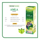 herbal-canada-amla-swaras-and-aloevera-r-71NrriCcK-L.jpg