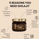 nirvasa-himalayan-shilajit-resin-20g-6100QjhvgPL.jpg