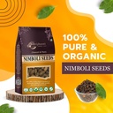 birju-mahavir-1-kg-neem-seeds-neem-nibol-81HBAZYi1gL.jpg