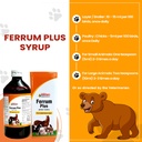bakson-veterinary-ferrum-plus-tonic-200--71IzAfvO-lL.jpg