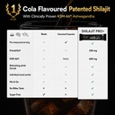 shilajit-pro-in-you-patented-himalayan-s-61BygFq+DgL.jpg