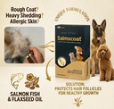 salmon-oil-supplement-for-dogs-cats-omeg-71KSoFT6cpL.jpg