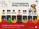 salmon-oil-supplement-for-dogs-cats-omeg-71kTXPqae6L.jpg