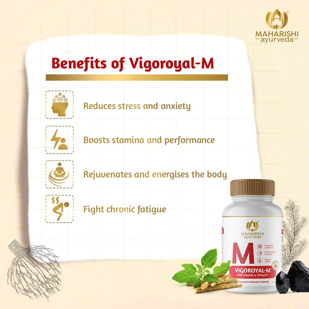 maharishi-ayurveda-shilajit-tablets-vigo-61Mek7GX7wL.jpg