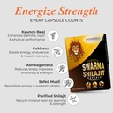 patanjali-swarna-shilajit-10-capsules-61ImBrPS6ZL.jpg