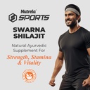 patanjali-swarna-shilajit-10-capsules-61tKn9RatrL.jpg