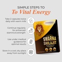 patanjali-swarna-shilajit-10-capsules-612FCoa1+iL.jpg