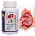 yog-and-ayurved-kidney-formula-detox-cle-81X-e0fBClL.jpg