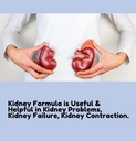 yog-and-ayurved-kidney-formula-detox-cle-81yDs34x8rL.jpg