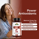 biosash-liver-detox-supplement-capsules--71LBAZ+02rL.jpg