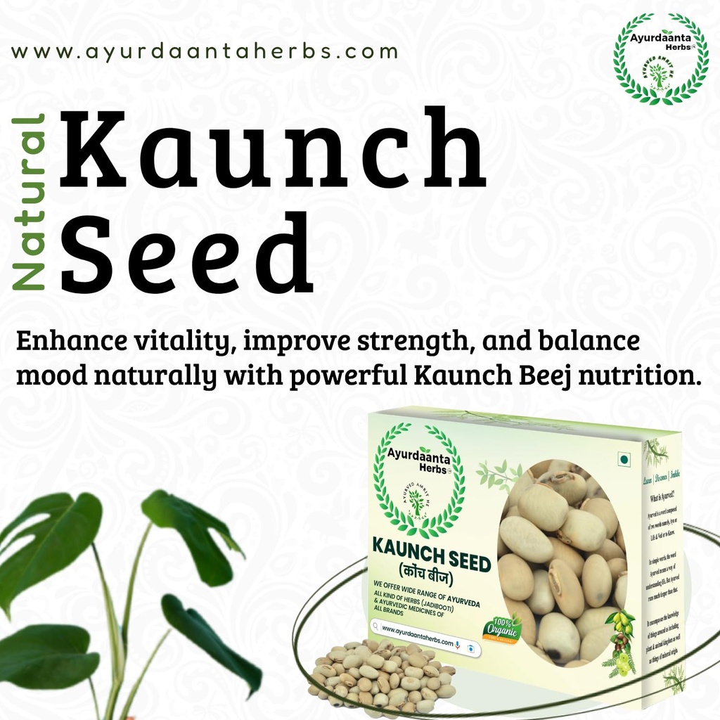 kaunch-beej-powder-grade-1-seed-white-ka-712q8ncuMqL.jpg
