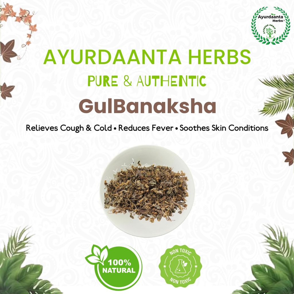 gulbanaksha-gul-banafsha-spl-gul-banapsa-71HVap3C2VL.jpg