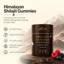 allove-shilajit-gummies-with-ksm-66-ashw-71j4RCTlxgL.jpg