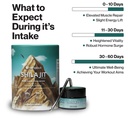 shilajit-resin-15g-81uQhLJtxIL.jpg