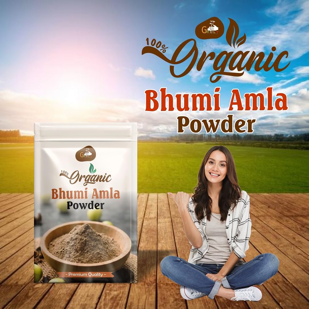 bhumi-amla-powder-100g-organic-bhumi-aml-71Qe29sc6LL.jpg
