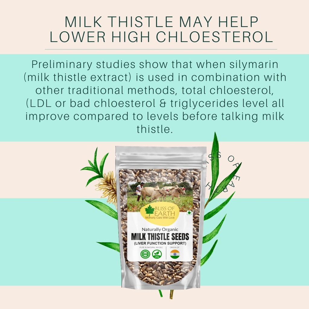 bliss-of-earth-milk-thistle-seeds-organi-713Q5HYLeRL.jpg
