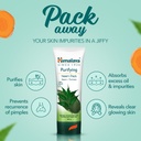 himalaya-herbals-purifying-neem-pack-100-615HFiBxcXL.jpg