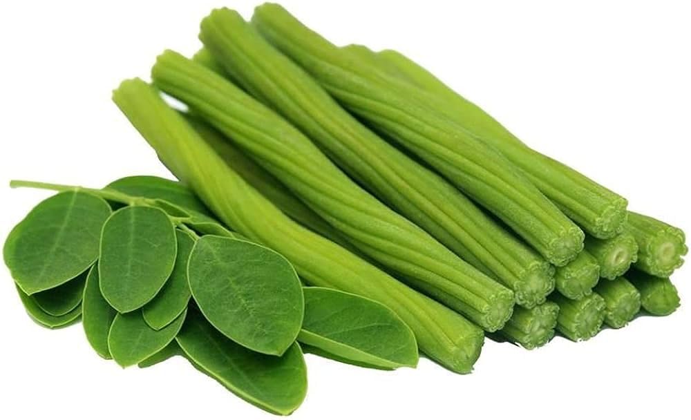 moringa-plant-grafted-hybrid-moringa-dru-51-yMT5GaCL.jpg