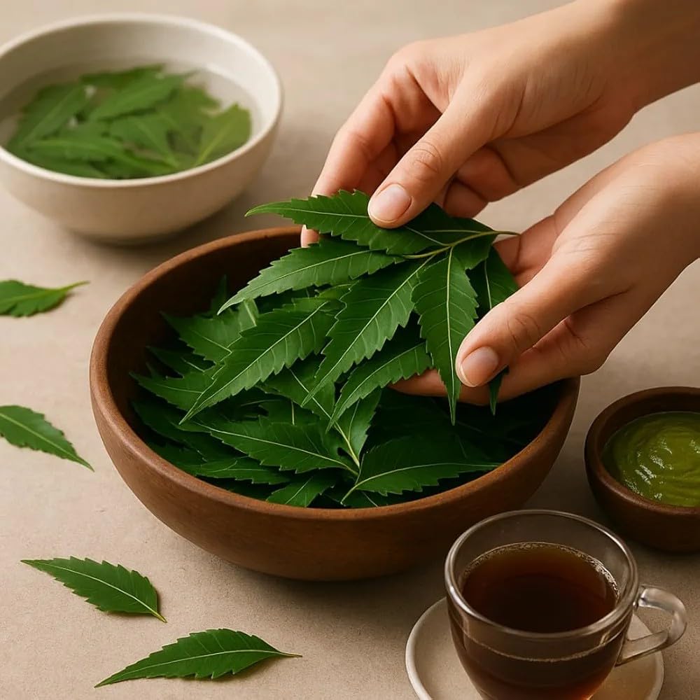 neem-leaves-330-gram-patti-shuddh-100-or-61x7d6SsbFL.jpg