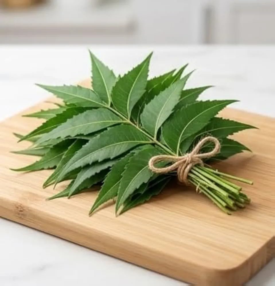 neem-leaves-330-gram-patti-shuddh-100-or-61W57ZSykVL.jpg