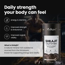 shilajit-gummies-60-shilajeet-gummies-wi-61-7Si7pqpL.jpg