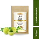 khadi-amla-hair-powder-pack-100g-natural-51eRIbUzHtL.jpg