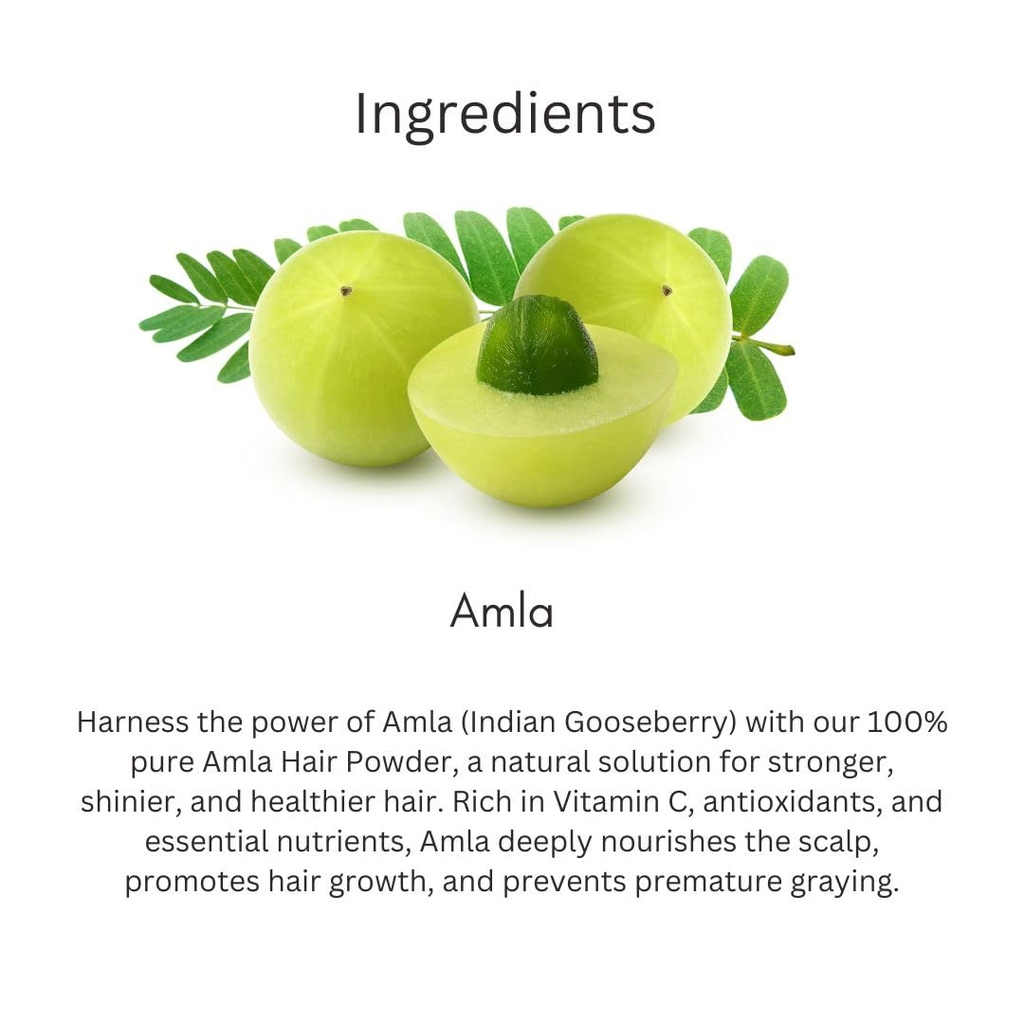 khadi-amla-hair-powder-pack-100g-natural-61KPUQUa4xL.jpg