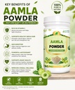 cura-ayurvedic-unani-amla-powder-100g-71pHkyr61PL.jpg