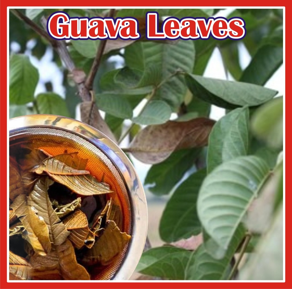 jorganics-dry-guava-leaves-50g-payara-pe-81w21a+iJZL.jpg