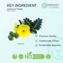 merlion-naturals-gokshura-tablets-tribul-710G0Spj2nL.jpg