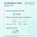 merlion-naturals-gokshura-tablets-tribul-716KPMgbcnL.jpg