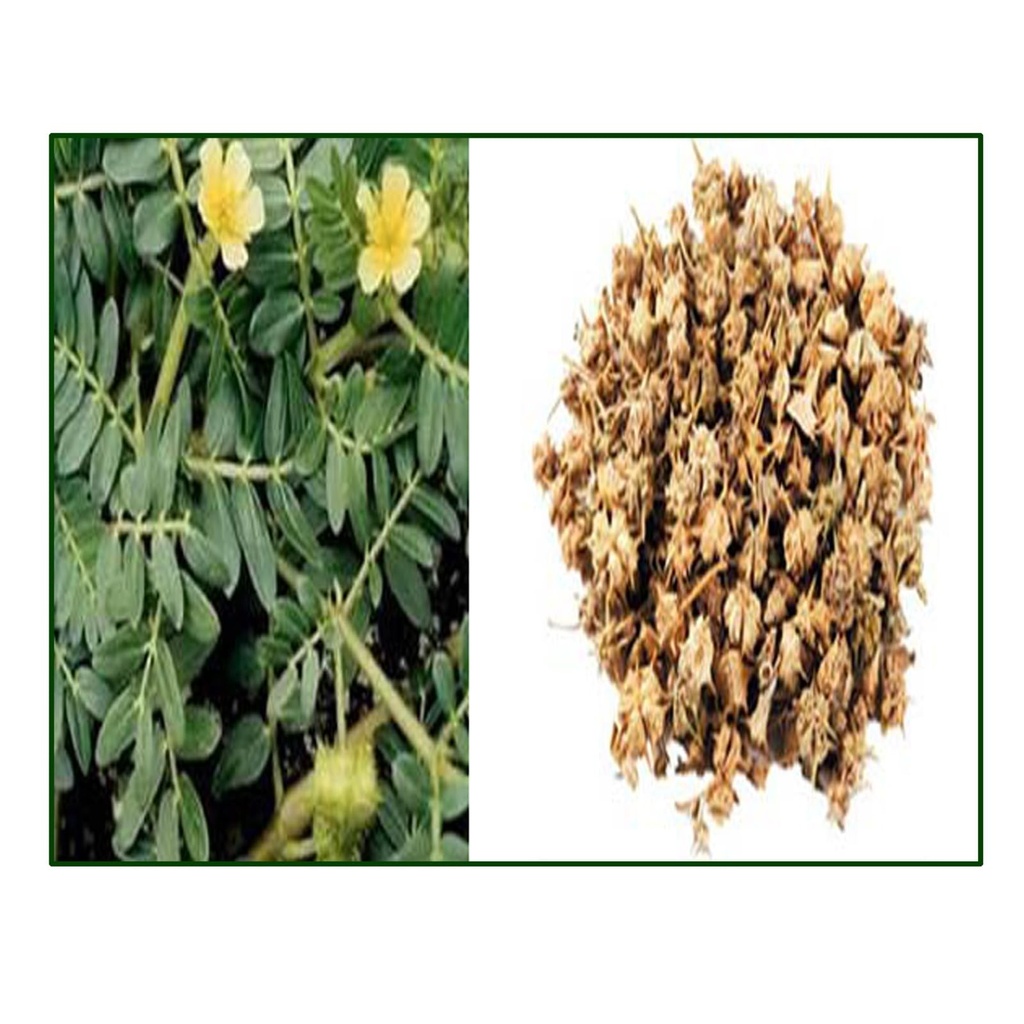 iagrifarm-gokshura-powder-250g-nerunji-m-71QRICyoikL.jpg