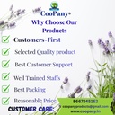 coopany-kodaikanal-natural-mountain-garl-71IbwWf+TbL.jpg