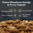 better-alt-shilajit-shilajeet-capsules-l-81M+V1mBN+L.jpg
