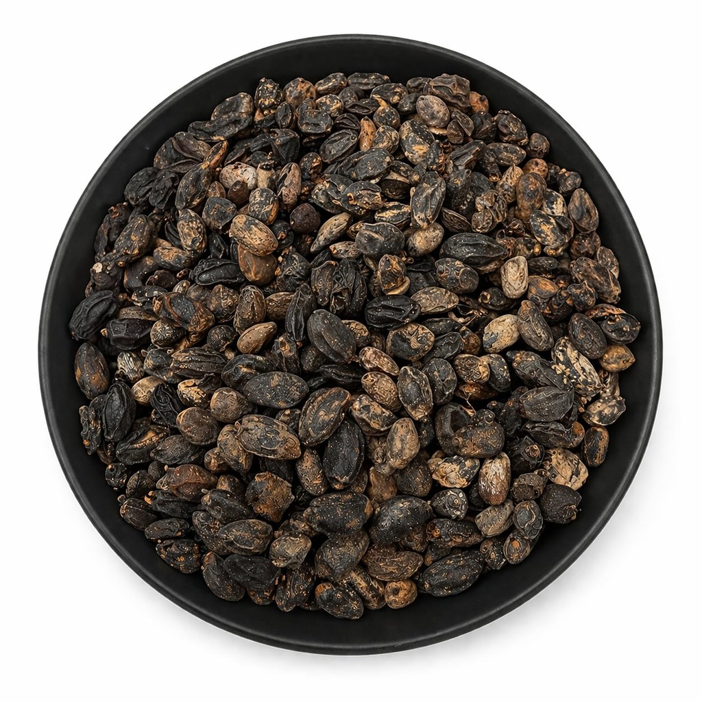 neem-seeds-azadirachta-indica-nimboli-ne-71QFS3Axw+L.jpg