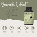 quercetin-extract-capsules-non-gmogluten-2.jpg