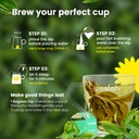 woolah-rare-assam-green-tea-with-lemon-o-71nvCCM2LBL.jpg