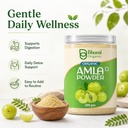 bhumi-organic-pure-amla-powder-for-hair--61DXbNAIbFL.jpg
