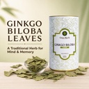 one-herb-ginkgo-biloba-tea-leaves-100g-m-618K9NbpATL.jpg