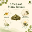 one-herb-ginkgo-biloba-tea-leaves-100g-m-61ZkRLedYzL.jpg