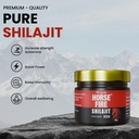 shilajit-resin-shilajeet-himaliyan-pure--71CxGfE-+NL.jpg