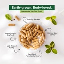 green-aura-garlic-heartcare-capsules-30--71CV+Ci62sL.jpg