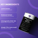 my-soul-shilajit-ashwagandha-gummies-for-619Z8OT+BdL.jpg
